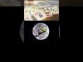 子供になっちゃえよ/Flower&重音テトSV