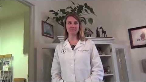 Thumbnail of Dr. Cara Brannigan of Full Circle Veterinary Care