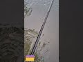 How a Simple Net Transforms Into a Fish-Catching Machine
