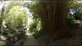 Mildred Mathias Botanical Garden tour in 360