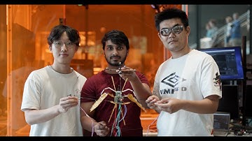 Northeastern Professor Designed a Robot Inspired by a Bat