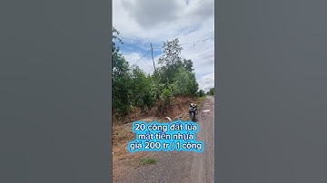 Bán 20 công đất lúa mặt tiền nhựa giá 200 tr / 1 công ở xã thạnh phú thạnh hóa long an #batdongsan