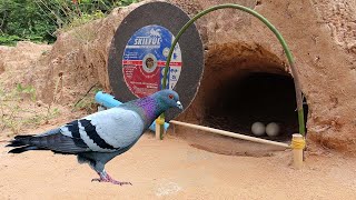 New Idea ! Creative DIY Pigeon Trap In Front Of Hole  Awesome Method  Bird Trap