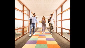 About the Lest Best Learning Management System: LMS