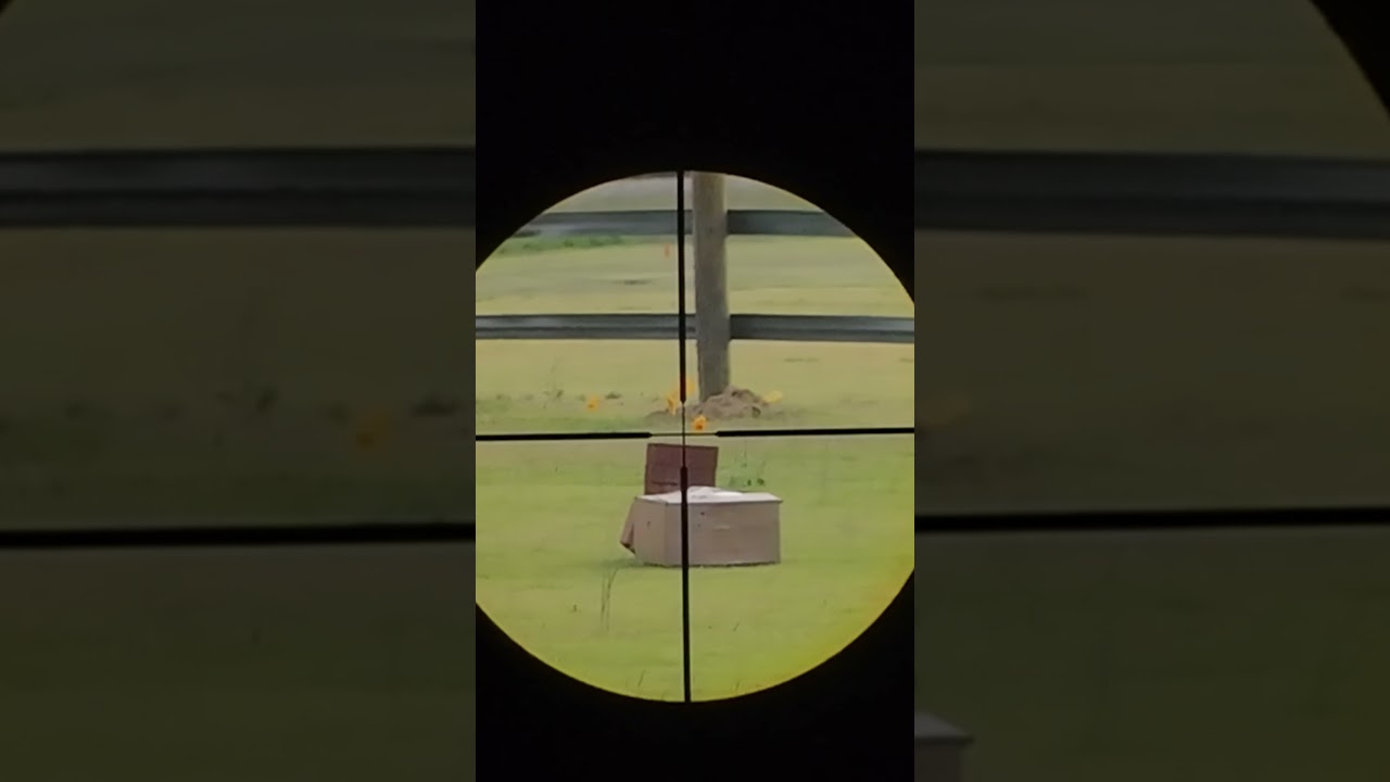 McDonalds toy VS pellet gun slow Mo 