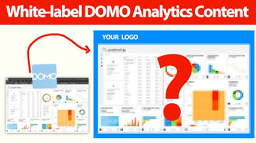 Add Multiple Custom Domains & White-label Domo Analytics Content