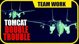 Two (F-14B) Tomcats on Growling Server | DCS World Team Work