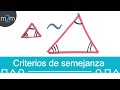 Triángulos semejantes │criterios