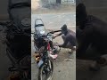 #music #trending #automobile #ekmotahathighumechala #funny #comedy #nayenawelidulhanparpehledin #tre