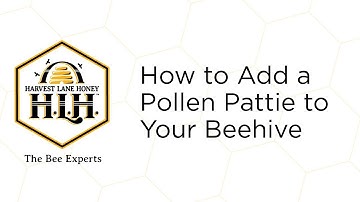 How to Add a Pollen Pattie to Your Beehive