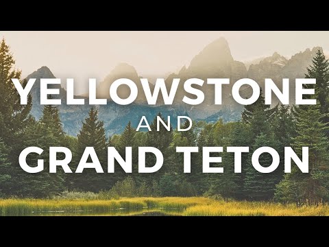 10 Insider Tips for the Perfect Visit to Yellowstone and Grand Teton!