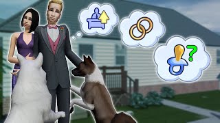 картинка: Семья Брок как всегда... || The Sims 2 // Летсплей в Мегахуде