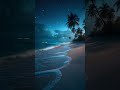 [TW] Tropical Night Beach (Video)
