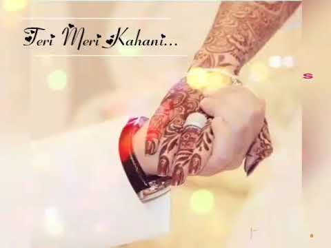 Teri Meri beautiful status video