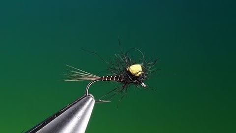 Fly Tying the Nonspecific floating nymph Barry Ord Clarke
