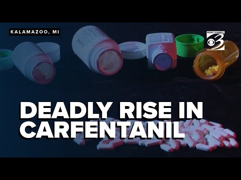 DEA warns of deadly rise in carfentanil as major seizure tied to cartel hits West Michigan