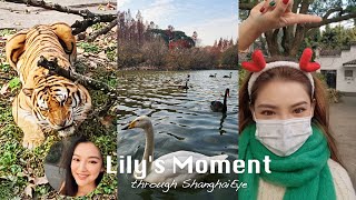 Lily's Moment: Reindeer said 'Hi' to me in Shanghai Zoo!