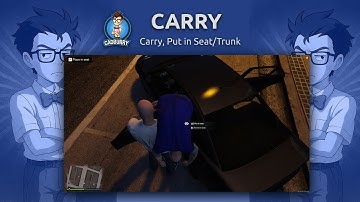 Carry Person, Put in trunk / seat -  Standalone