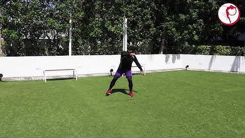 Capoeira, level 1, class 16: Ginga with Armada kick