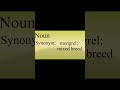 HYBRID word meaning | Pronunciation | Sentence #hybrid