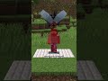 Elytra and Mace combo