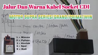 Jalur dan Warna Kabel Socket CDI Supra 100/Grand/Star/Win/