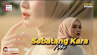 Sebatang Kara || Ndis || Ndis Official || Music Cecep || Visual Illustration || conten Creator