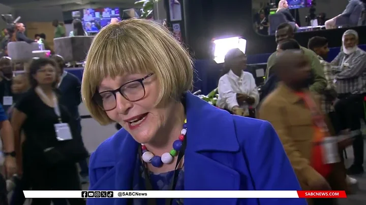 2024 Elections | ' Yesterday's vote was marred by a very poor performance by the IEC': Helen Zille - DayDayNews