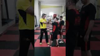 Ebmas Wing Tsun Gm Emin Boztepe Seminer