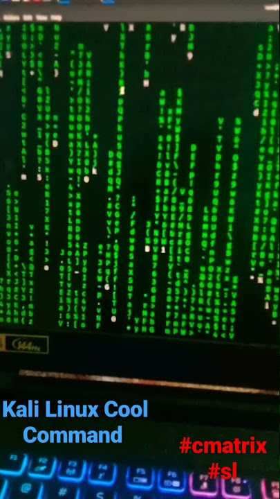 Cool Command For Kali Linux