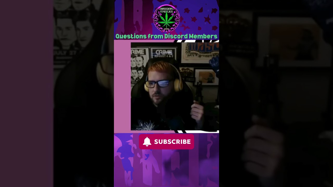 Q&A from Discord - Super Skunk = Giesel