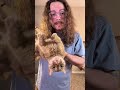 My cat likes to scream