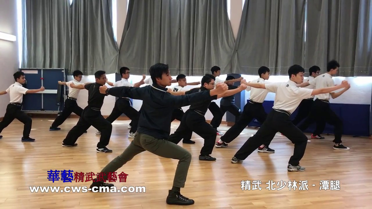 北少林派-潭腿上六路