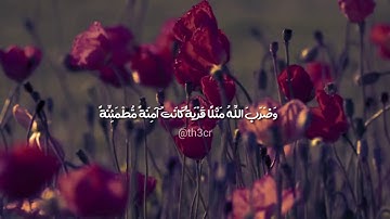 تلاوة عذبة لآية وضرب الله مثلاً قرية كانت أمنة مطمئنة | th3cr@