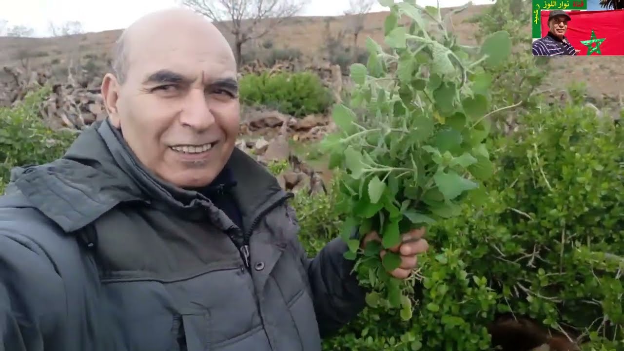 جولة طويلة بعد أمطار الخير