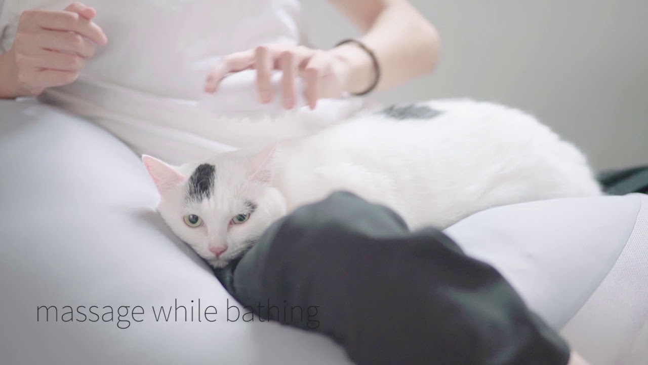 pidan Pet Brush Deshedding/ Massage YouTube