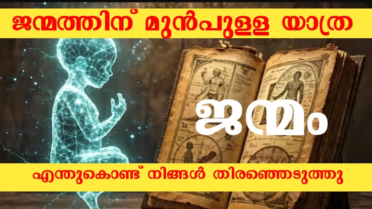 SOUL CONTRACTS EXPOSED What You Need to Know About Your Life Purpose/ 