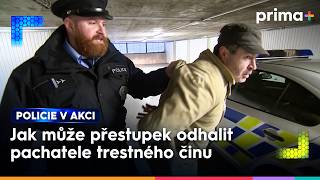 Podezel Dodvka Vzbudila Pozornost Pi Pokusu O Zaloen Nelegln Skldky  Policie V Akci