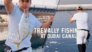 Trevally Fishing at Dubai Canal - Day 1 | Fishing Series EP. 9 #fishing