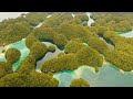 412. Видения Лены Калашниковой.01.06.2023г. Форпост НАТО в Харькове.