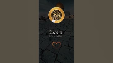 ﴿الذين صبروا وعلى رَبِّهِمْ يتوكلون﴾🫴❤️القارئ : عبدالرحمن مسعد #القرآن_الكريم #quran #اكسبلور