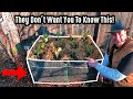 Pre-Built Raised Garden Bed Manufacturers Don't Want You To Know About This Gardening Hack!