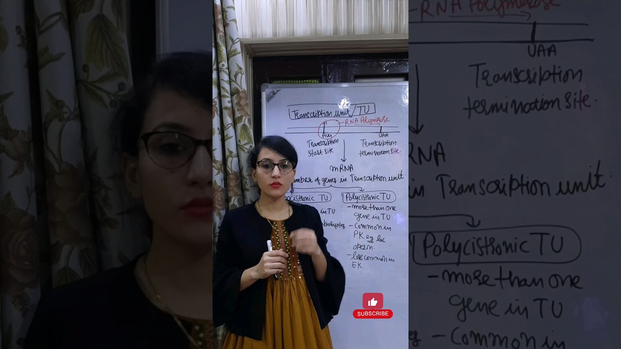 Transcription Unit || Monocistronic Transcription Unit || Polycistronic Transcription Unit 
