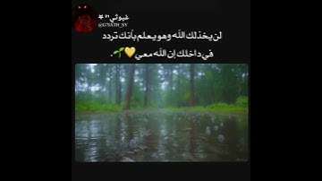 قرآن كريم / تلاوة هادئة تريح القلب 💙 حالات واتس اب اسلامية /ستوريات انستا😴❤