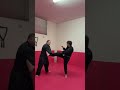 CONCATENAZIONI KENPO MAESTRO 6° DAN LUCIO PICCIOLI RESPONSABILE NAZIONALE KENPO-AIKIJUTSU MSP ITALIA