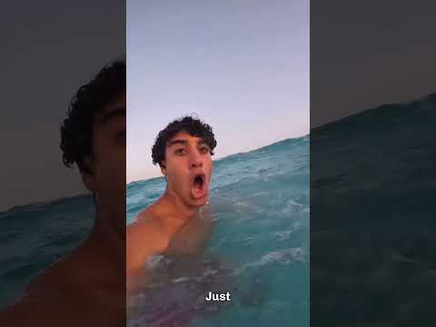 Lucky Escape From A Deadly Jellyfish Sting 