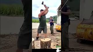 Firewood Chopping Process - Hard Workers