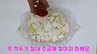 국밥집 깍두기 45년 비밀 레시피/아무나 막 담을수 있슈!!