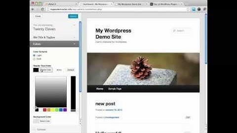 Wordpress 3.5 Video 7: How To Choose and Install A New Theme