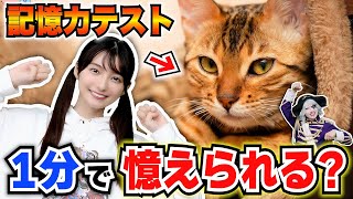 猫ガチ勢まりんかと1分でにゃんこ画像を覚える記憶力テストをやった結果――